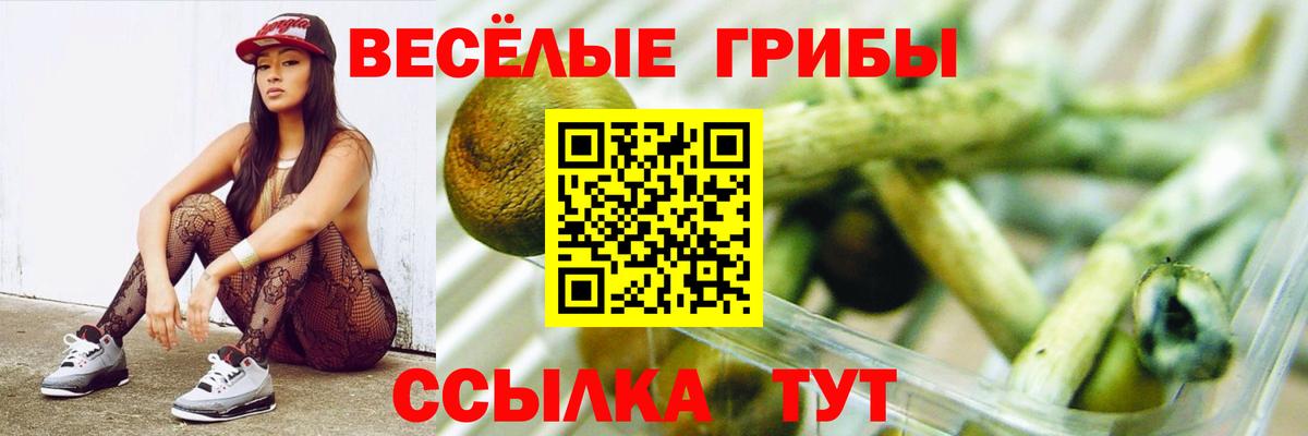 Галлюциногенные грибы мухоморы  Псилоцибиновые грибы Psilocybine cubensis  Вход с VPN  Черняховск 